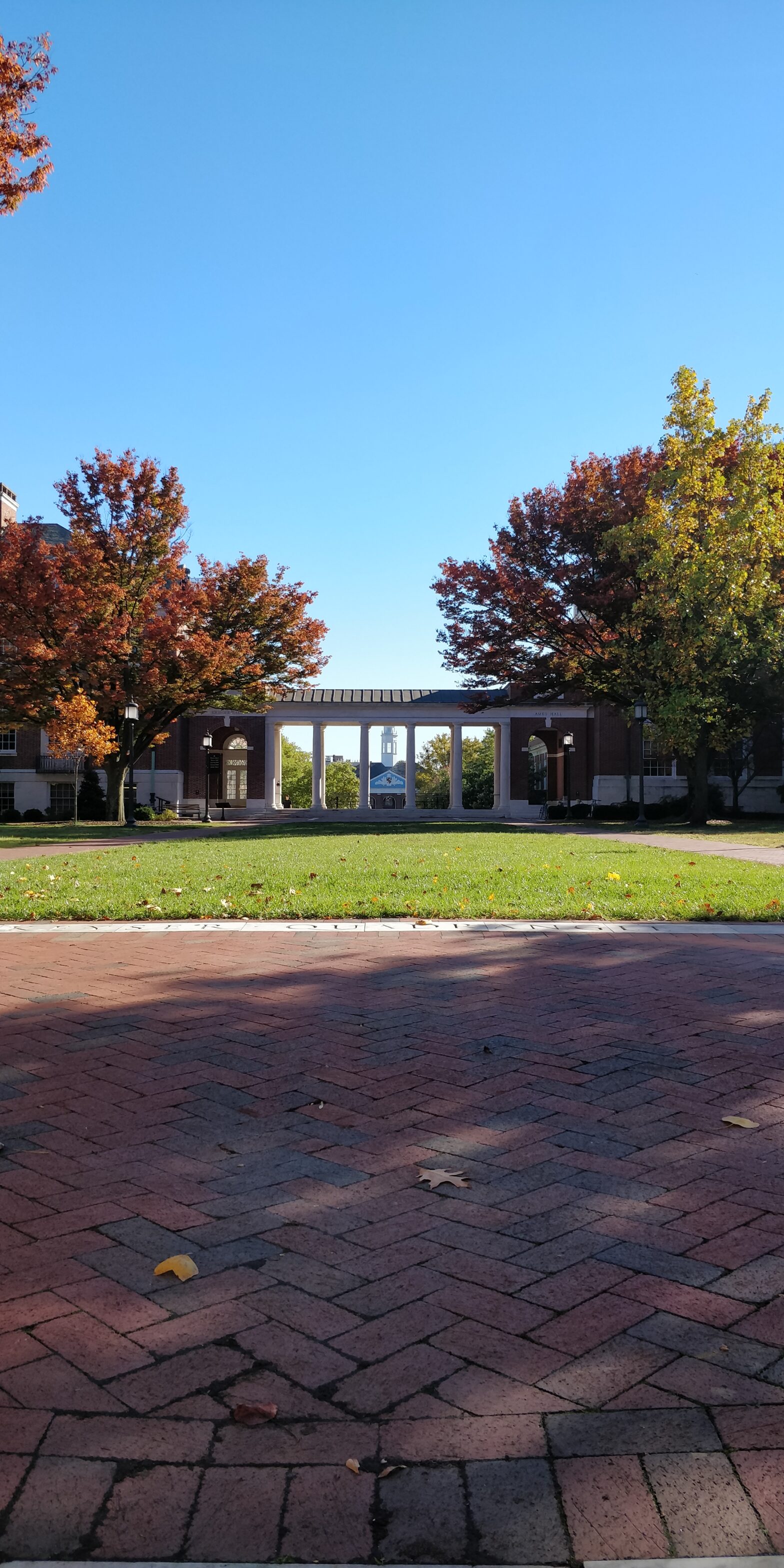 campus view of the university of memphis